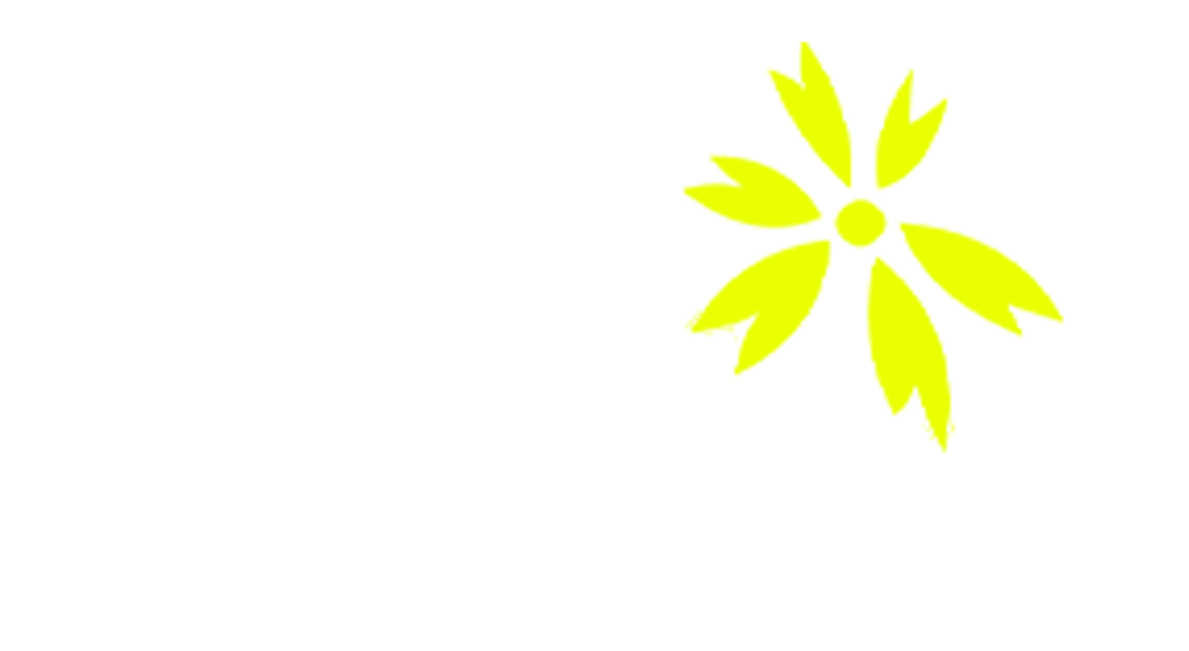 Sheba Stores